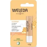 WELEDA EVERON Tyčinka na rty 4.8g