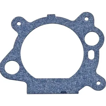 Briggs &amp; Stratton Filtr těsnění 795629