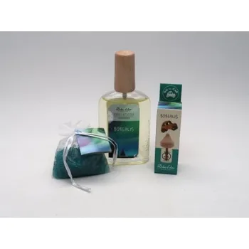 Vůně do bytu Vůně - Borealis, Varianta Lahvička 100 ml