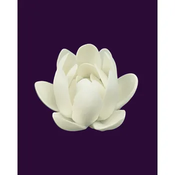 Vodní lilie do orgonitů