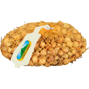 Cibulovina Nohel Garden Štutgart cibule sazečka 500 g