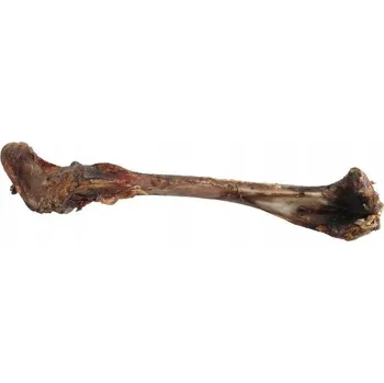 Pamlsek pro psa Jelení kost s masem pro psy s alergiemi 35 cm volně ložená