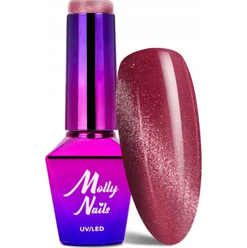 Lak na nehty Hybridní lak Molly Nails Crystal Water Cat Eye 8g Č. 166