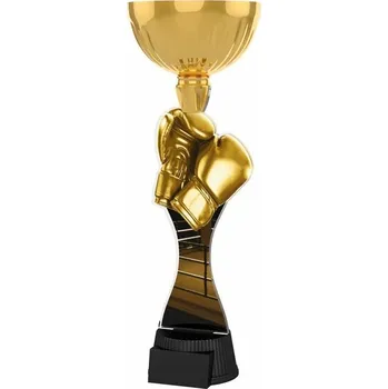 Poháry Bauer Akrylátová trofej ACUPCGNM13 | Bojová umění