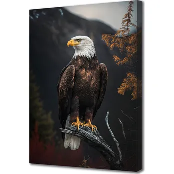 Obraz Obraz na plátně canvas Orel na černém pozadí Pták 20x30