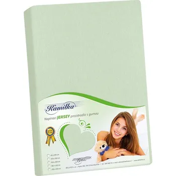 Prostěradlo Prostěradlo jersey Šalvějová BX1001210 - 220x200 cm