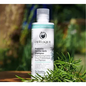 Šampon Odylique Gentle Herb Prebiotický šampon Objem:: 500 ml