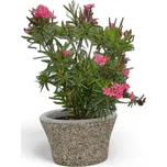 PROFIBA Betonový květináč Rokytná