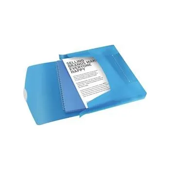 Esselte box na dokumenty VIVIDA, 40 mm, modrá 624047