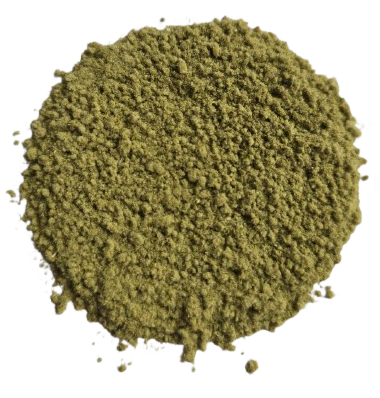 Řecký horský čaj - Hojník horský - jemně mletý, balení 100 g