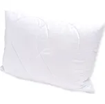 Brotex Polštář Aloe Vera 50x70cm 400g se zipem