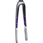 Pevná vidlice TREK Domane SL5 Disc Women 56cm Quicksilver/Black 355mm, 48mm