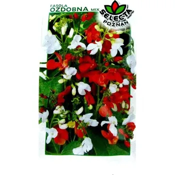 dobirkov.cz Semena okrasných fazolí 8g - 1 sáček