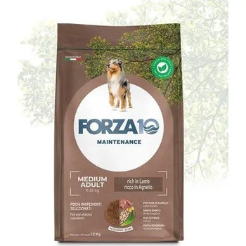Pro psa Forza10 Medium Maintenance s jehněčím pro psy 12kg