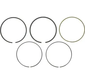 Píst motoru Briggs & Stratton 795431 Sada pístních kroužků standard