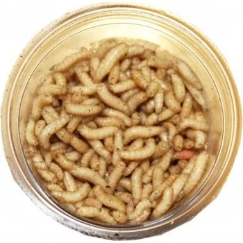 Návnadová surovina Červi bílí 100ml