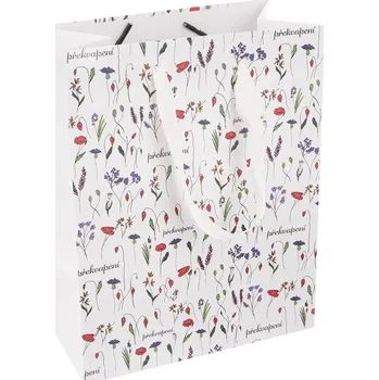 Dárková taška Dárková taška Překvapení 14x7x18 cm