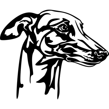 Vsepropejska Chrt 5 dřevěná dekorace na zeď Rozměr (cm): 38 x 32