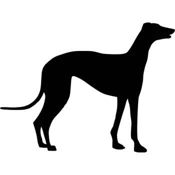 Vsepropejska Chrt 4 dřevěná dekorace na zeď Rozměr (cm): 38 x 28