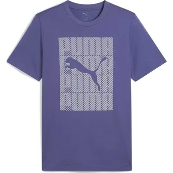 Pánské oblečení Pánské triko Puma GRAPHIC WORDING TEE XXL Modrá, Šedá