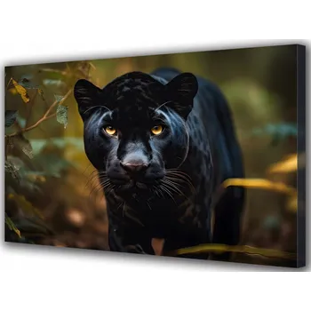 Obraz Obraz na plátně Černý panter Zvířata Džungle 70x50 cm