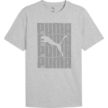 Pánské oblečení Pánské triko Puma GRAPHIC WORDING TEE M Šedá, Tmavě šedá