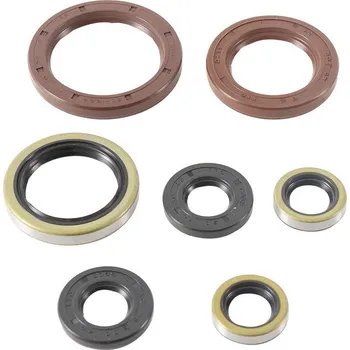 Těsnění motoru Sada gufer motoru WINDEROSA EOSK 822372