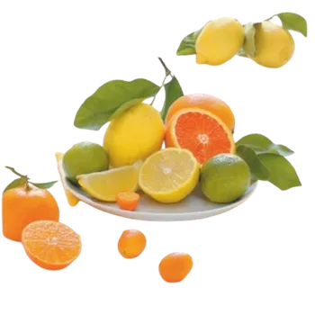 Dóza na potraviny Easy Life, Itálie EL - Plastová podložka CITRUSY - 20 x 20 cm