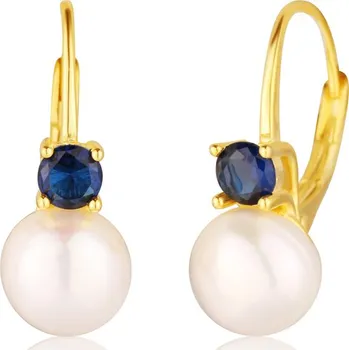 Náušnice Náušnice JVD SVLE2959XF6GM00