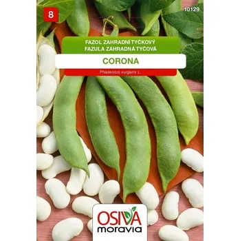 Pěstitelství OSIVA Moravia Fazol tyčkový - CORONA