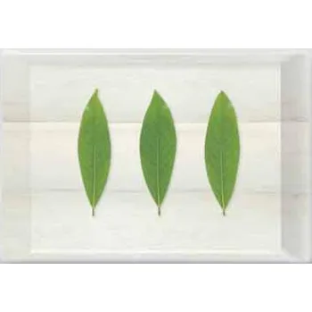Easy Life, Itálie EL - Plastový servírovací tác Listy - 49 x 34 cm