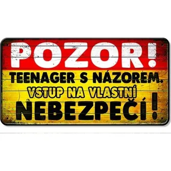Plechová cedule Nekupto Plechová cedulka POZOR! Teenager s názorem ... NSR