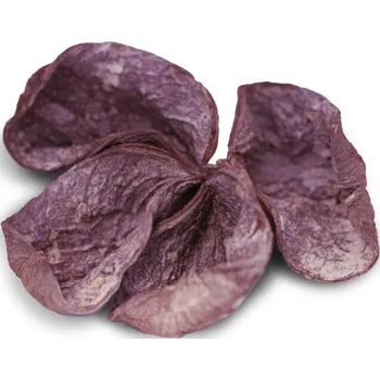 Indická sušina Land lotus frosted růžová, 20 ks