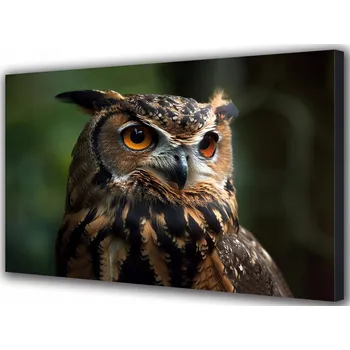 Obraz Obraz na plátně Sova Pták Zvířata Les 70x50 cm