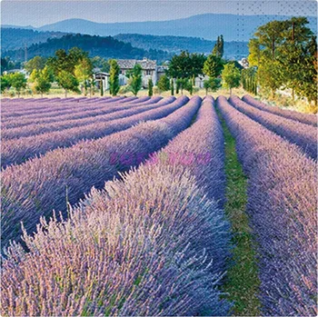 Ubrousek 2011093 P 33x33 celorok SDL849000 (20 ks v balení)