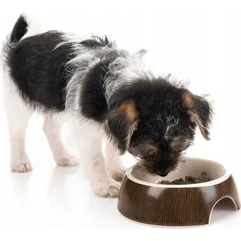 Miska pro psa Keramická miska pro psa Canadian Cat 13 cm
