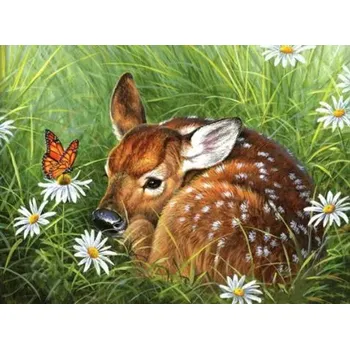 Diamantové malování Diamantové malování/Huacan - Koloušek v trávě