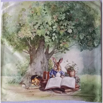 Povlak na dekorativní polštářek Povlak na polštářek zajíček a kniha