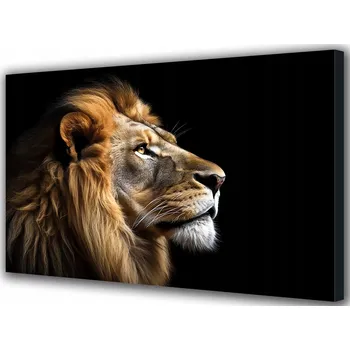 Obraz Obraz na plátně canvas Lví král na černém pozadí Zvířata 30x20 cm