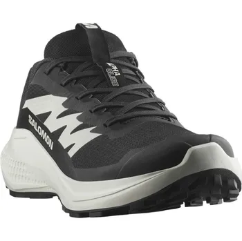 Pánská běžecká obuv Salomon Alphaglide M L47801000 - black/phantom icicle 47 1/3