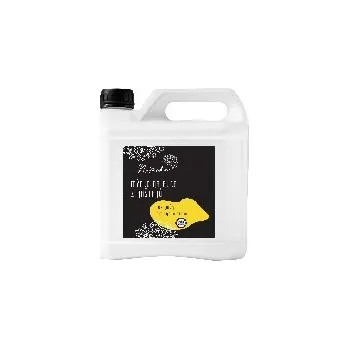 Mýdlo Natasha Mýdlo na ruce z kaštanů Rozmarýn a Citronová tráva 25 l