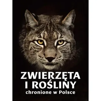 Zwierzęta i rośliny chronione w Polsce - Izabella Sieńko-Holewa, Sylwia Weber