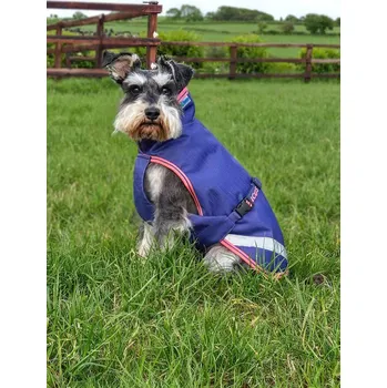 Pelíšek pro psa Bucas Deka pro psy Freedom Bucas, 50 g, navy grape 50 cm