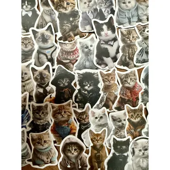 samolepka Mystery samolepky kočky