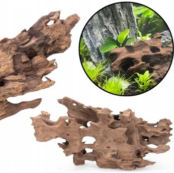 Dekorace do akvária Kořen pro akvárium Mangrowiec Dragon Wood M 20 cm