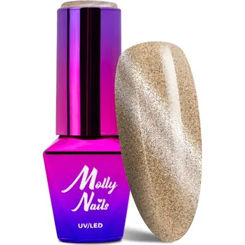 Přípravek na nehty Cat eye gel lak, 8g – rafinovaná elegance s efektem kočičích očí GINGER (Efektový gel lak cat eye, Ginger)