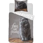 Povlečení bavlněné, Kočka šedá, 140 x 200cm + 70 x 80 cm