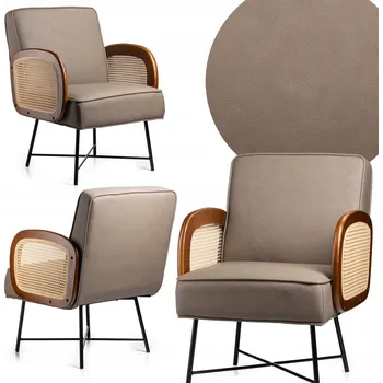 Křeslo Tradiční křeslo HowHomely béžové