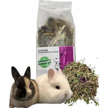 Krmivo pro hlodavce NAŤ ECHINACEA BYLINKY PRO KRÁLÍKA HLODAVCE PŘÍRODNÍ ČERSTVÁ PAMLSEK 100G