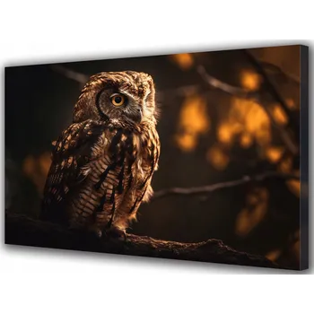 Obraz Obraz na plátně Sova na větvi Pták Zvířata Les 70x50 cm